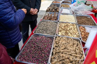 最后兩天 抓緊機會 龍匯廣場2019名優特商品展銷會,旺 旺 旺